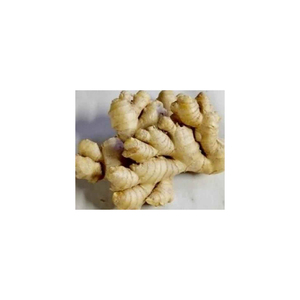 <b>Fresh</b> <b>Ginger</b> for Improved Digestion and Gut Health - Product Image 5