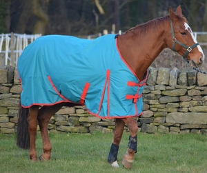 Tapis de cheval de conception personnalisée de qualité supérieure 600D imperméable à l'eau en polaire chaude réglable avec option de couleur personnalisée nouveauté - Product Image 4