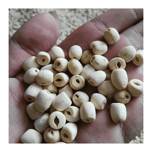 Semillas de Loto Secas, Material de Alta Calidad Diseñado para Mezclas de Bebidas y Desarrollo de Recetas, Originarias de Vietnam - Product Image 1