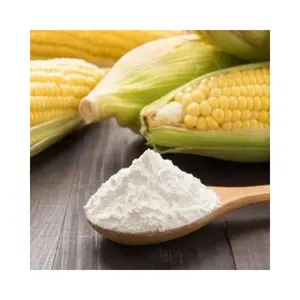 越南优质玉米淀粉价格优惠 | 越南玉米淀粉高面筋