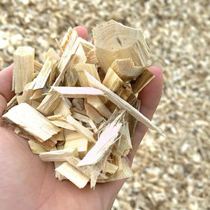 ACACIA EUCALIPTO Y CHIPS DE MADERA DE GOMA Productos agrícolas Premium en la categoría de troncos - Product Image 1