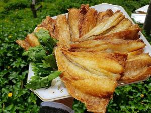 Vendo pescado croaker seco en grandes cantidades para exportación - Product Image 5