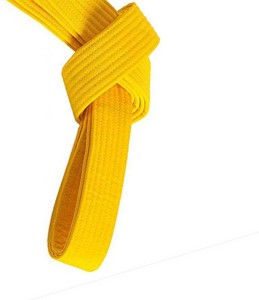 Ceinture de Taekwondo BJJ pour entraînement professionnel d'arts martiaux Logo personnalisé Ceinture de Jiu Jitsu à coupe réglable Meilleure vente en gros - Product Image 4