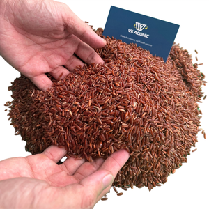 ธัญพืชข้าวแดงคุณภาพสูงจากเวียดนามได้รับการรับรองมาตรฐาน ISO HACCP MOQ ต่ำ - Product Image 3