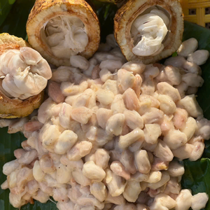 ผงโกโก้ธรรมชาติสำหรับผลิตช็อกโกแลตและเครื่องดื่ม - Product Image 4
