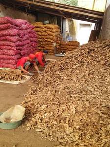 Gingembre frais - Product Image 3