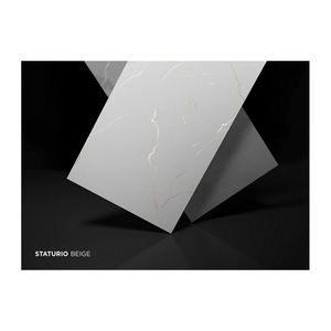 Carreaux de sculpture en porcelaine d'intérieur modernes de haute qualité 600X1200MM épaisseur de 5mm pour sols intérieurs directement exportés d'Inde - Product Image 5