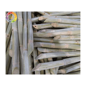 Jugo de caña de azúcar congelado sabor dulce y fresco natural con alta calidad y precio competitivo directo del proveedor de Vietnam - Product Image 2