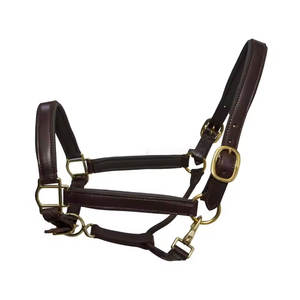 Un fournisseur indien propose un licou en cuir marron de style selle anglaise avec raccord de basse uni au design surélevé - Product Image 5