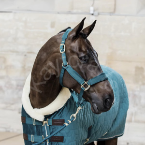 Halter de nailon acolchado de terciopelo suave ajustable con ajuste cómodo y herrajes de latón dorado de lujo - Product Image 4