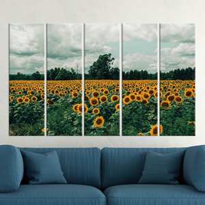 Lienzo Impreso: Cuadro de Campo de Girasoles para Colgar en la Pared, Elegante Marco Dorado, 5P: Enmarcado tipo Galería - Product Image 1