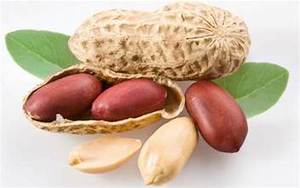 ÉTIQUETTE PROPRE SOURCE D'ÉNERGIE NATURELLE ENCAYÉE D'ARACHIDES VÉGAN - Product Image 3