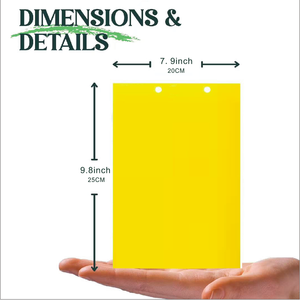 Contrôle des nuisibles ODM OEM, gel adhésif jaune double face hautement adhésif, plastique écologique, livraison rapide, spectre pour serre - Product Image 5