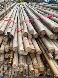 Poteau de bambou séché Poteau de bambou 5/8 "-7/8" d'épaisseur 5 "-6" de large 24 "-92 pouces de long Vente en gros Vietnam - Product Image 5