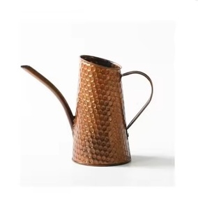 Vente chaude Élégant Léger Antirouille Plante D'intérieur Arrosoir Finition Colorée avec Faible quantité minimale de commande - Product Image 5