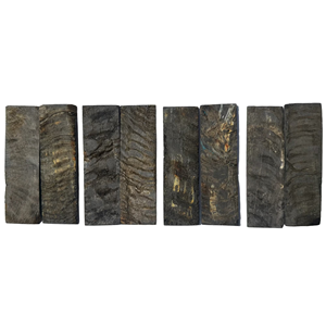 Plaque de corne de mouton antique pour taille personnalisée Plaque de corne de mouton pour forme carrée Offre Spéciale et taille personnalisée - Product Image 4