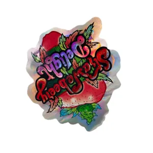 Individuell bedruckter Reißverschlussbeutel Karikaturmuster Plätzchen Süßigkeiten versiegelte Beutel Kunststoffverpackung Mylar-Beutel