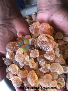 Meilleure qualité Premium Gomme arabe Soudan Gomme arabe Hashab Produit agricole - Product Image 5