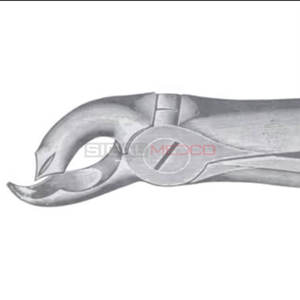 Fig. 26 Fórceps de extracción de dientes de diferentes tamaños Instrumentos médicos dentales Precio al por mayor Acero inoxidable - Product Image 4