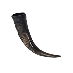 Cuerno para beber artesanal natural de estilo medieval de alta demanda Calidad única para entusiastas del renacimiento a bajo precio - Product Image 1