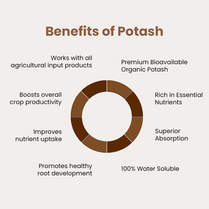 Engrais en poudre à base de potassium dérivé des rhodophytes, humate de potassium, pureté 100%, marque Aquagri pour l'agriculture - Product Image 3