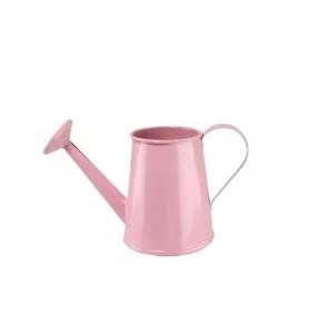 Arrosoir à long bec, corps en métal, parfait pour le jardinage de plantes d'intérieur délicates, vente à chaud - Product Image 1