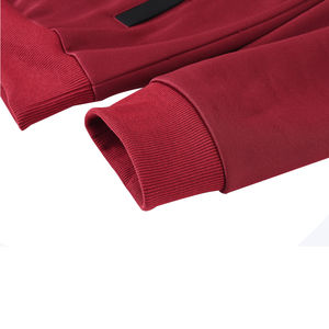 Sweats à capuche pour hommes personnalisés, imprimés, brodés, logo personnalisé coupe régulière, couleur unie/Offre Spéciale Sweats à capuche pour hommes grande taille pour Streetwear OEM ODM - Product Image 5