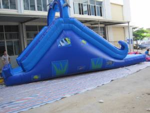 Tobogán acuático inflable doble con forma de delfín para alquiler en fiestas y diversión acuática infantil - Product Image 3