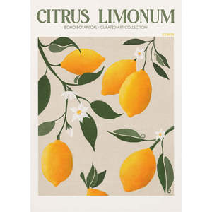 Golden Citrus Delight Patterned <b>Plant</b> Collection - Product Image 2