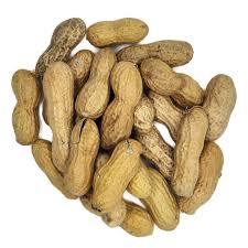 Healthy Natural Organic Shelled <b>Peanuts</b> Available at Competitive Prices - Product Image 5