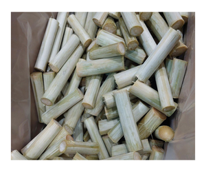 Productos de caña de azúcar orgánica de primera calidad Proceso BQF Patrón completo Fruta congelada Pelada Envasada al vacío - Product Image 1