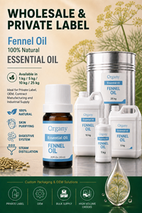 Huile Essentielle de Fenouil Turc Pur en Gros, Distillée à la Vapeur (Foeniculum Vulgare), Vente en Gros, Marque Privée, OEM, Cosmétique, Aromathérapie, ODM - Product Image 3