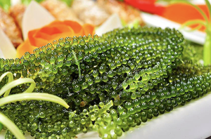 Raisins de mer de haute qualité, best-seller pour les aliments de BLUE LOTUS - Product Image 5