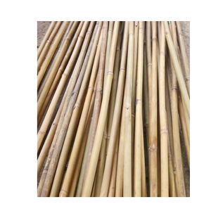 Natural Slats Tree Support Bamboo <b>Pole</b> Stick Cane Tonkin Treated Straight Bamboo Stakes Materials Bamboo <b>Garden</b> Stakes - Product Image 1
