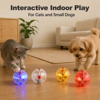 Balle de jeu transparente pour animaux de compagnie, résistante aux morsures, rechargeable, colorée, pour chien, pour mâcher, jouer et nettoyer les dents