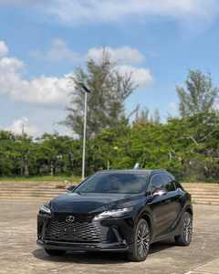 2025 LEXUS RX 350 Premium Plus USADO OPCIÓN COMPLETA - Product Image 1