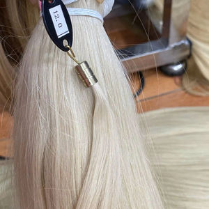 Worldhair Vierge Remy Machine Double Trame Vietnamien Extensions de Cheveux Humains En Vrac Couleur Froide - Product Image 1