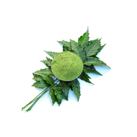 Poudre de feuilles de neem pure pour l'ubtan traditionnel indien et le masque facial éclaircissant naturel pour la beauté du jour du mariage