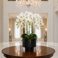 Orchid Phalaenopsis Buatan Sentuhan Realistis untuk Dekorasi Hotel dan Interior