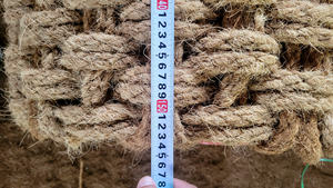 Tapis en fibre de coco naturelle: haute qualité pour les paillassons et le contrôle de l'érosion, fabriqué par des producteurs vietnamiens pour les marchés mondiaux - Product Image 2