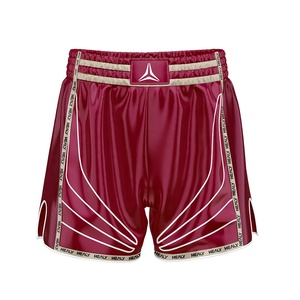 Shorts de boxe personnalisés HEALY pour hommes, satin de haute qualité, séchage rapide, respirants, pour entraînement MMA, combats et salle de sport. - Product Image 1