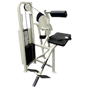 Estación Multifunción Remanufacturada para Ejercicios de Extensión de Espalda Baja, Entrenamiento de Fuerza para Espacios de Fitness Interiores y Salas de Entrenamiento - Product Image 1