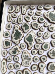 หินมอสอาเกตธรรมชาติ ทรงแผ่น ขัดเงา รูปทรงผสม สำหรับทำเครื่องประดับ ขายส่ง - Product Image 5