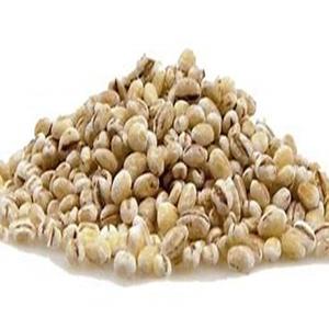 Granos de cebada seleccionados estilo seco para la industria alimentaria y la alimentación animal a precios competitivos - Product Image 6