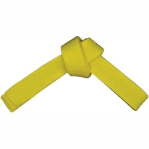 Vente en gros de ceinture de karaté imprimée personnalisée de qualité professionnelle bon marché nouveau type d'équipement d'arts martiaux - Product Image 6