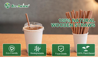 Pailles en bois jetables, pailles à boire en bois naturel, pailles écologiques compostables pour restaurant, café