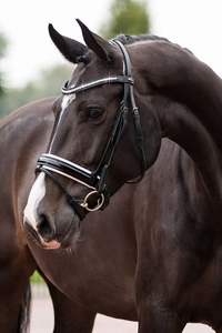 บังเหียนม้าของอังกฤษใหม่บังเหียนม้าทำจากหนังแท้สำหรับใช้ในการขี่ม้า - Product Image 5