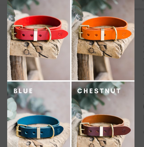 Collier de chiot gravé personnalisé avec matériel en laiton Greyhound et Whippet - Product Image 2