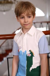 100% algodón Casual algodón sublimación Polo camiseta para niños secado rápido Turn Collar manga corta impreso Golf Polo camisas - Product Image 3