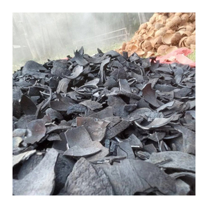 ถ่านกะลามะพร้าวถ่านกัมมันต์ - Product Image 3